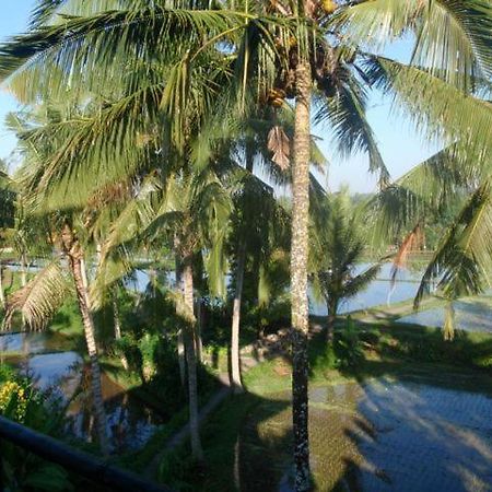 Toko Toko Bungalows Ubud  Ngoại thất bức ảnh